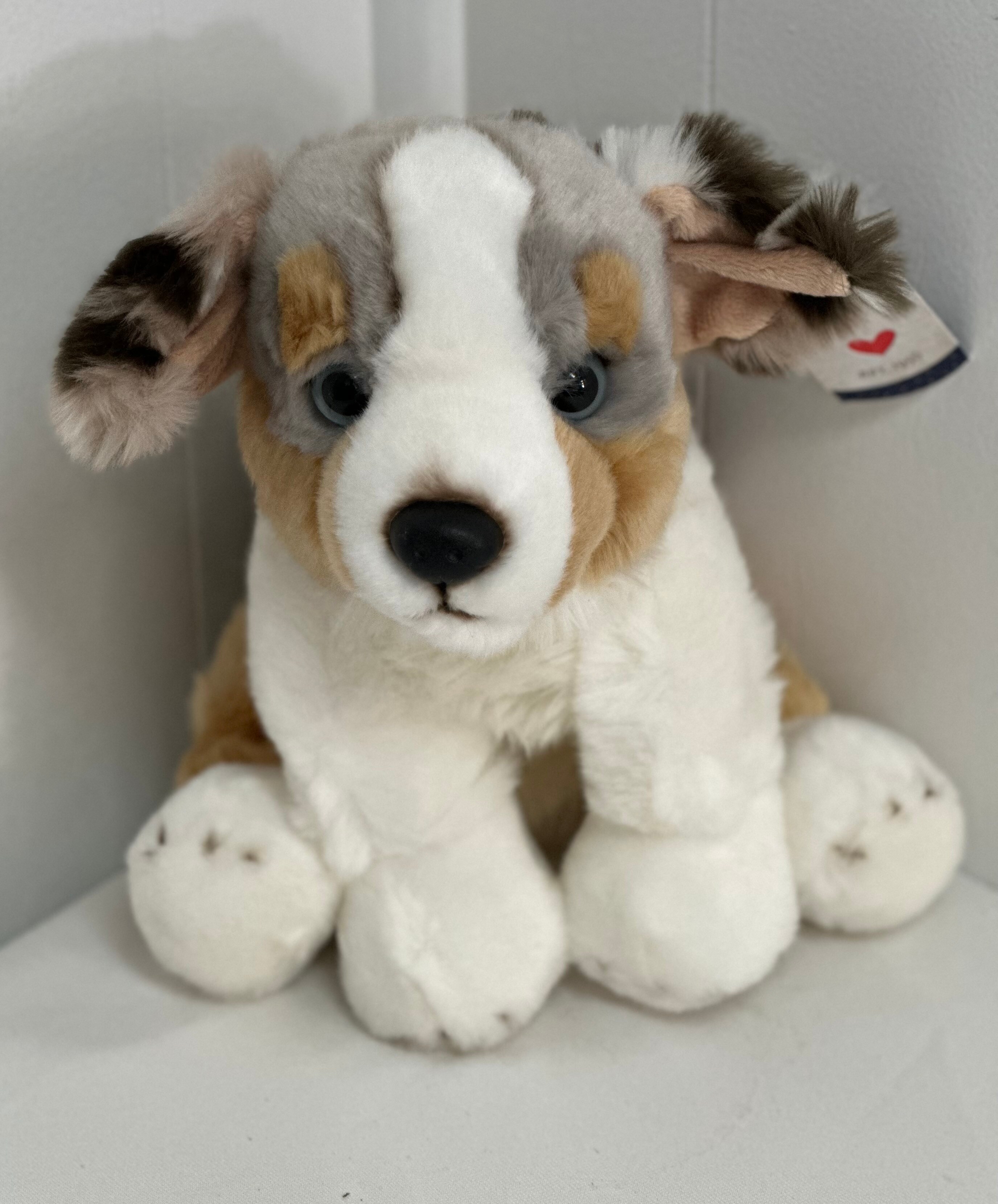 Plush Puppy